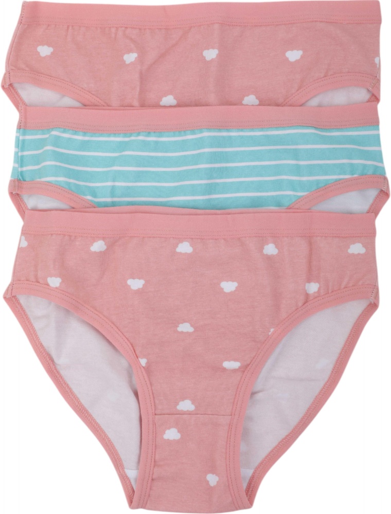 Набор трусов для девочек HW 3 пары р.98-104 розовый с голубым E1-F1