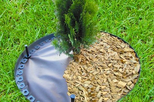 Бордюр газонный Gartec «Универсальный» (+20 кольев для фиксации)