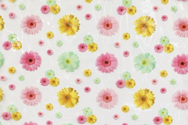 Клейонка Гербера бузкова 1,4 м прозора 8811