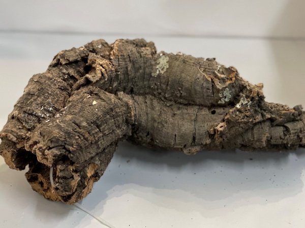 Декор Лотос К коряга Труба