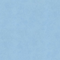 Шпалери Ланіта Ірма СШТ 2-1026 1.06х10.05 м