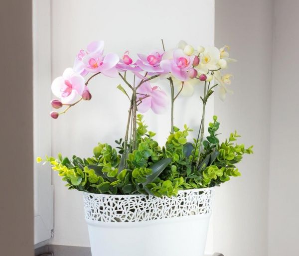 Кашпо пластикове Prosperplast Tree овальний 6л білий (78998-449) 