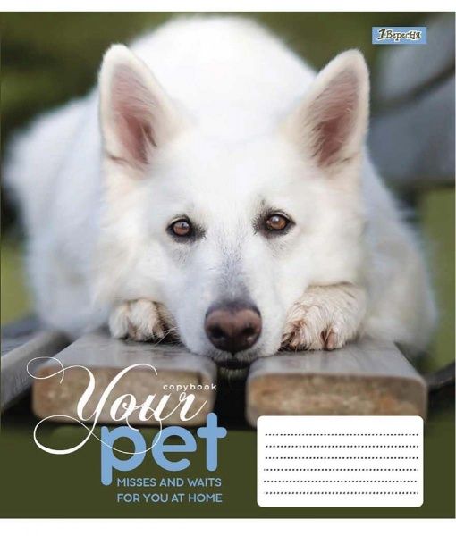 Зошит шкільний Dog loyality А5/12 у клітинку 1 вересня