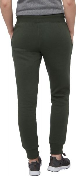 Штани Energetics Arielle wms 294563-782 р. 34 темно-зелений