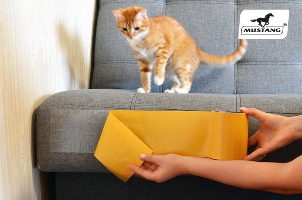 Защитная лента Mustang от царапин котов 