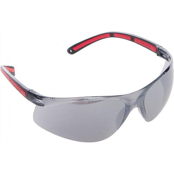 Очки защитные Reis OO-TEKSAS