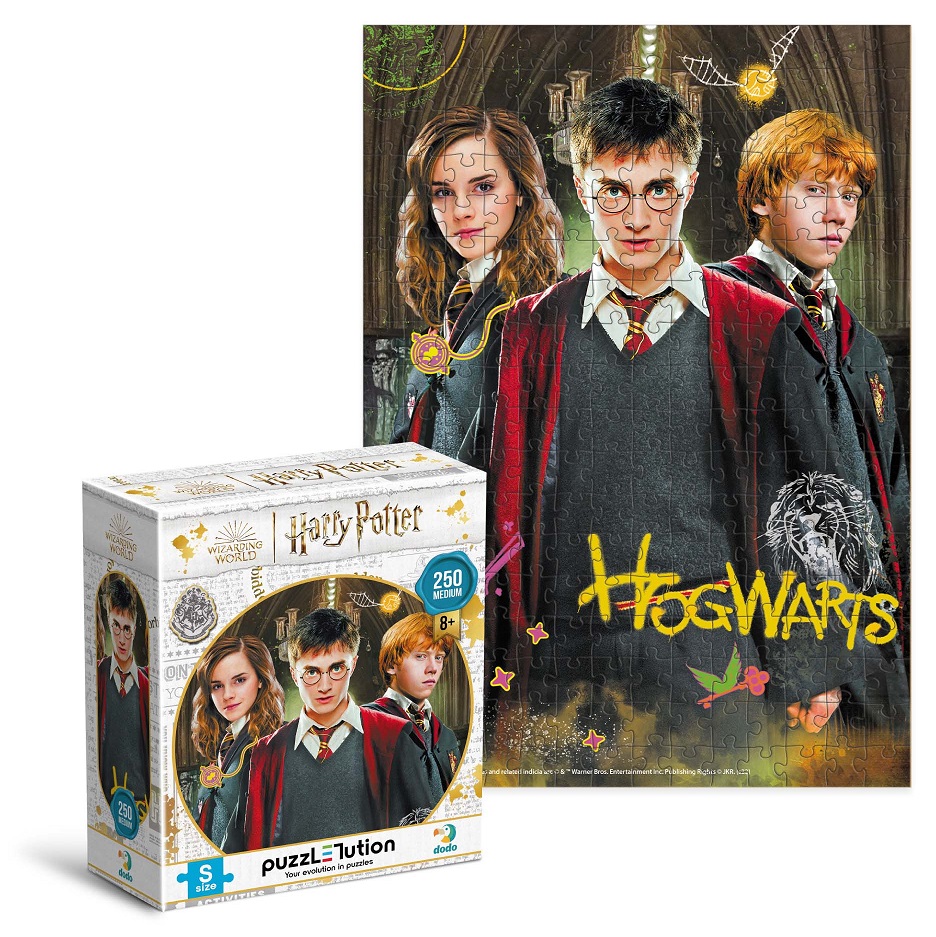 Пазл DoDo Medium-S Harry Potter. Гарри и друзья, 250 элементов 200498