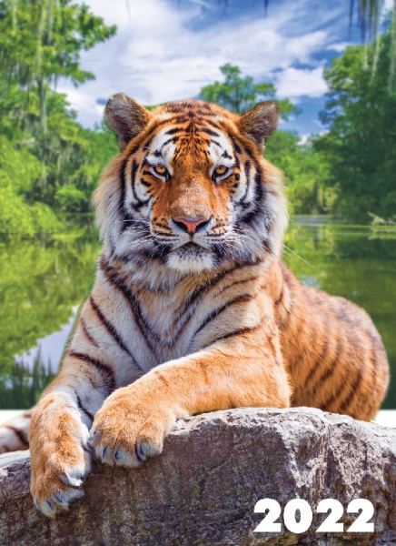 Календарь Діана Плюс Світовид А3 Рік тигра (2 види) 2022