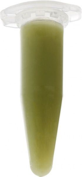 Цитокінінова паста  Elit Orhid clonex 1,5 г