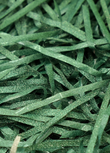 Наполнитель ПВХ блестящий зеленый 18046