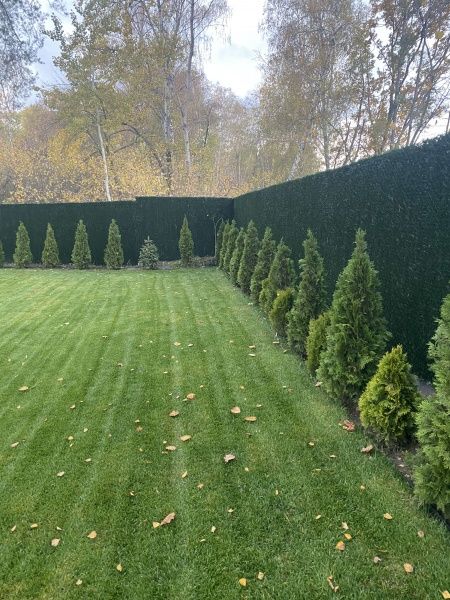 Ограждение декоративное Co-Group зелень L 5 м, Н2,00 м 