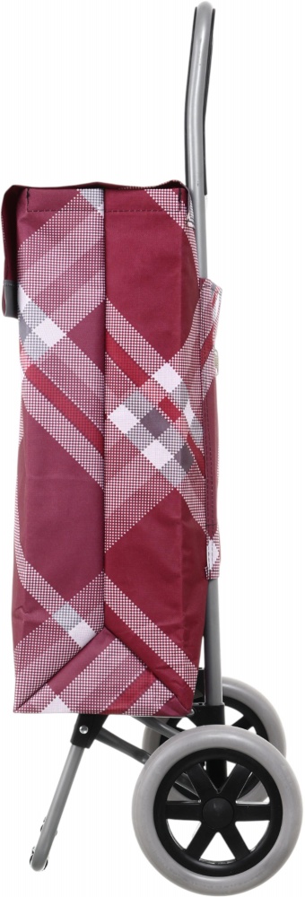 Тележка хозяйственная с сумкой Глостер в ассортименте ZZ 206-16-306-2