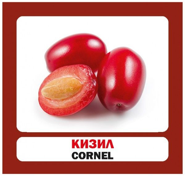 Книга «Навчальний посібник. Ягоди. англ-укр»