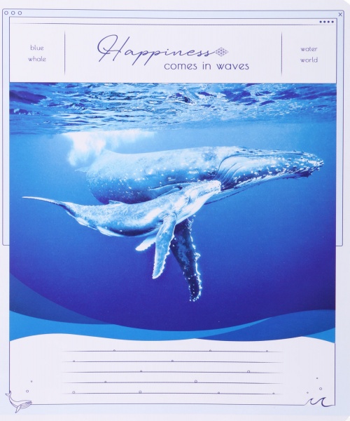 Тетрадь школьная Tadward коса