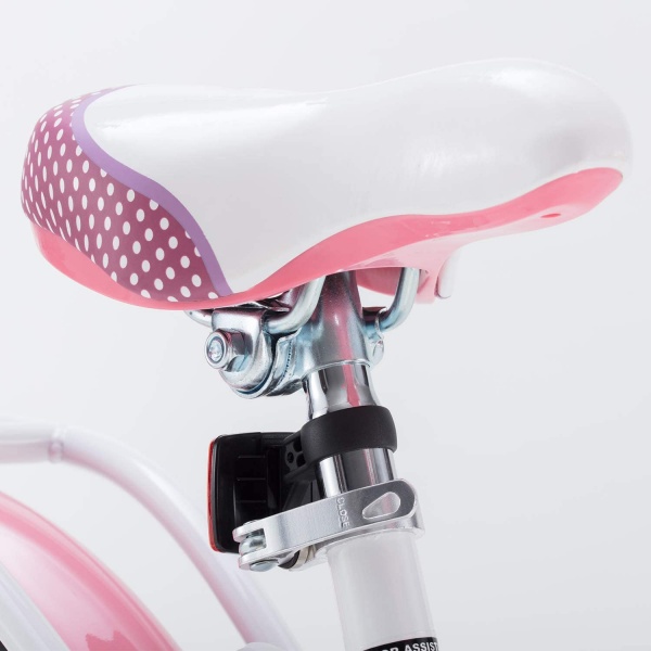 Велосипед детский RoyalBaby Jenny Girls 20