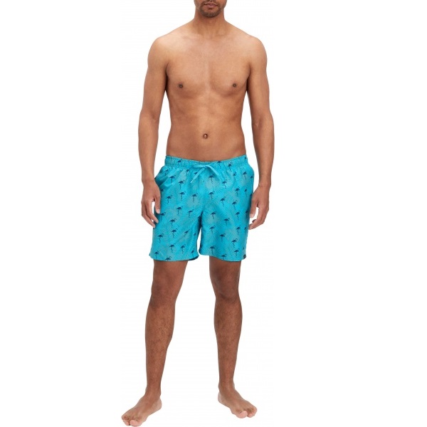 Шорты Firefly Nilas M 419324-614 р. L бирюзовый