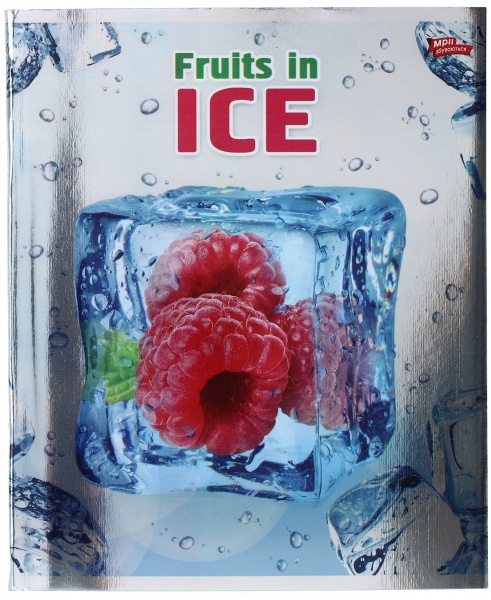 Тетрадь школьная серебро 4 листов в клеточку в ассортименте Мечты сбываются