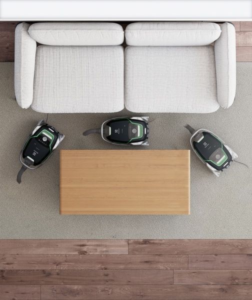 Пылесос Electrolux EUO9GREEN 
