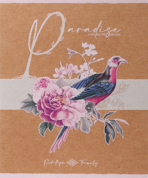 Тетрадь школьная Айвори серия 1 48 листов в клеточку Поділля