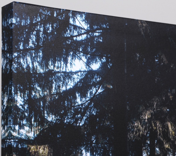 Картина Осенний лес 85x113 см Styler CA-13982 