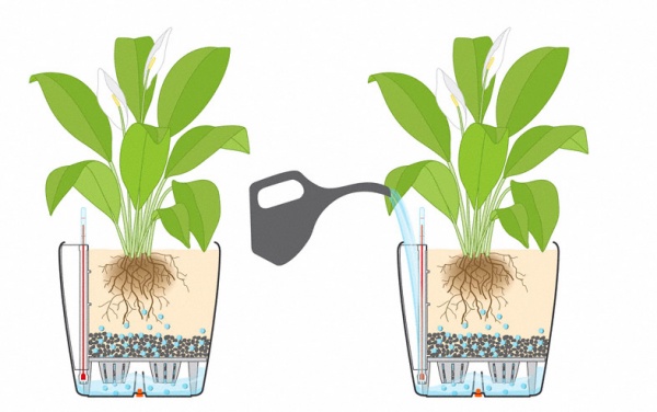 Вазон декоративный Lechuza Classico Premium LS 21 круглый 9,6л антрацит (16023) 