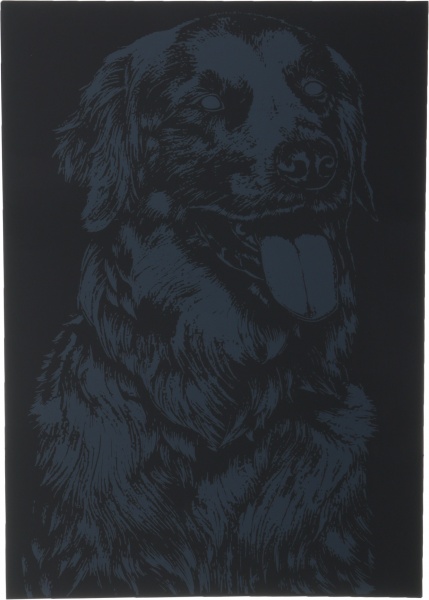 Скретч-картина Друг человека 40,5x28,5 см 