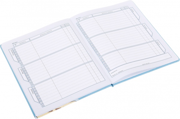 Дневник SD1602 167х211 мм 48 листов Bourgeois