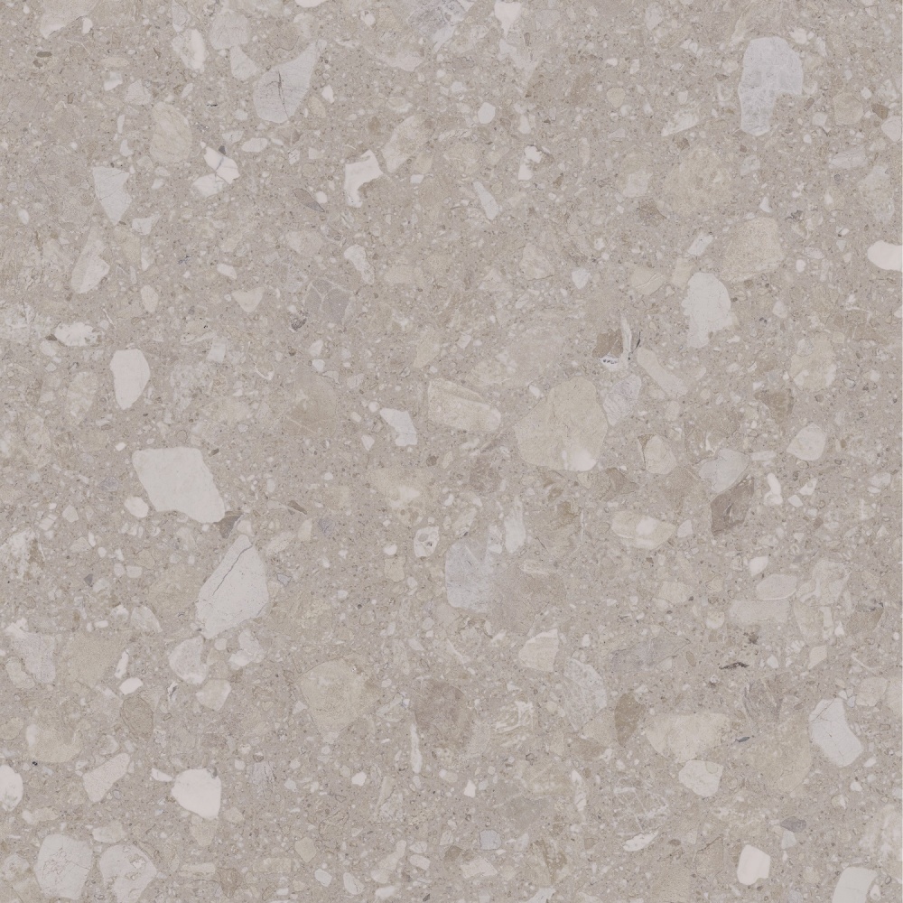 Плитка Allore Group Terra Beige F P R Mat 60x60 см