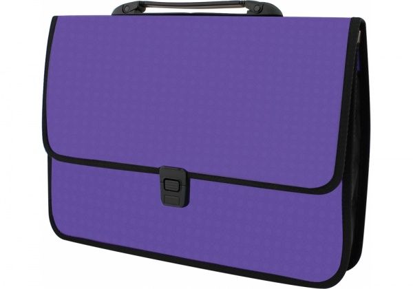 Папка-портфель фиолетовая Вышиванка E31641-12 Economix