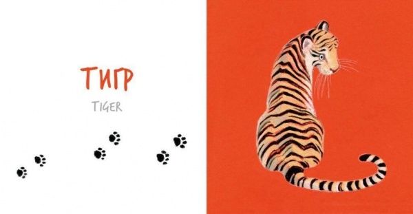 Книга Катерина Таберко «Собери Радугу. Животные Африки» 978-617-7395-11-8