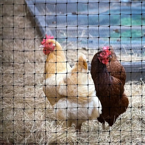 Сетка вольерная 25г/м.кв 50х50 мм 2х100 м 