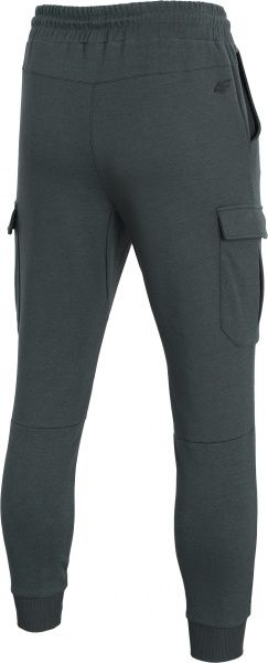 Брюки 4F D4Z20-SPMD303-24S р. XL серый