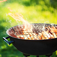 Товары для пикника