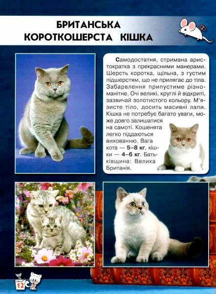 Книга Тамара Протасовицкая «Світ навколо нас. Кішки» 978-966-936-750-1