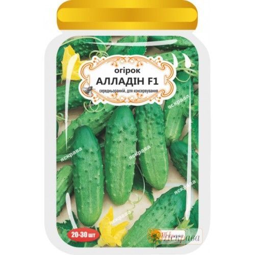 Семена Яскрава огурец Алладін F1 20 шт. (4823069908645)