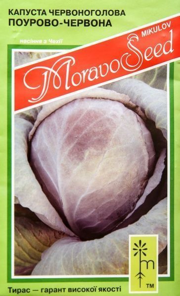 Семена MoravoSeeds капуста краснокочанная красная 0,2г