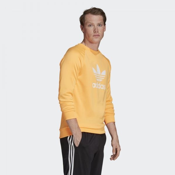 Джемпер Adidas TREFOIL CREW EJ9679 р. M помаранчевий