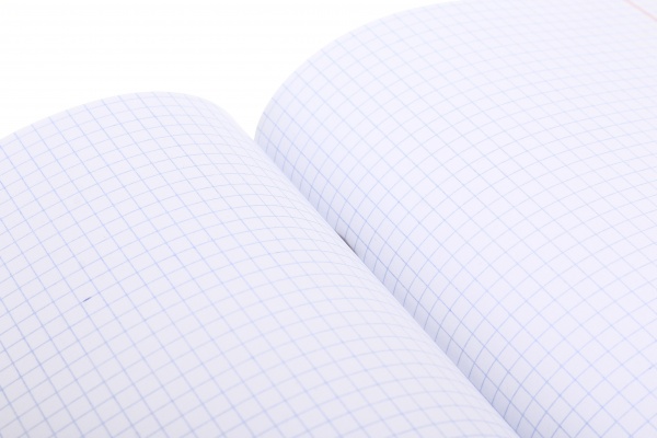 Тетрадь школьная уф-лак 60 листовв клетку в ассортименте