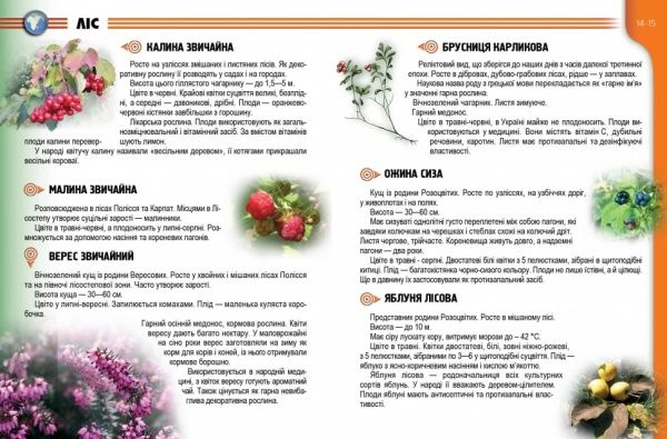 Книга «Рослини та тварини України» 978-617-695-062-2