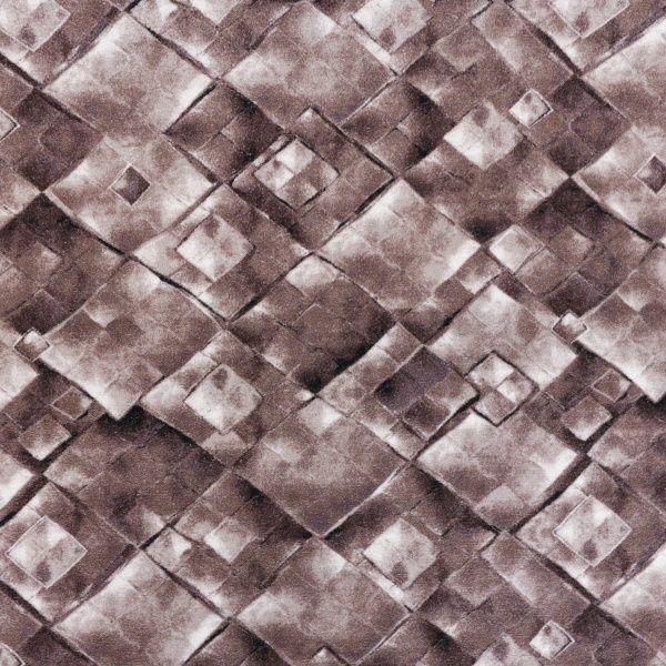 Ковролін Принт/Сток 1556A5/100 2 м