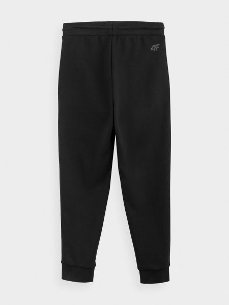 Брюки 4F NOSDJ-JSPMD300-20S р. 128 черный