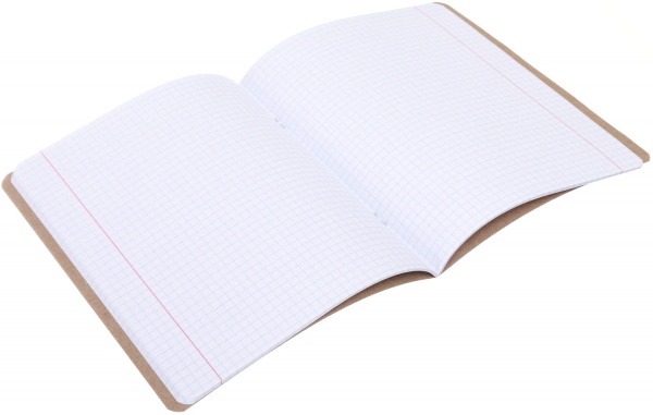 Тетрадь школьная Айвори серия 1 48 листов в клеточку Поділля