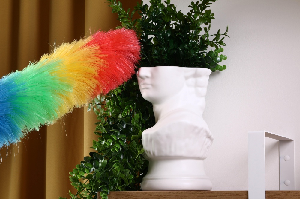 Щітка для пилу Веселка 22 см OBERY різнокольоровий