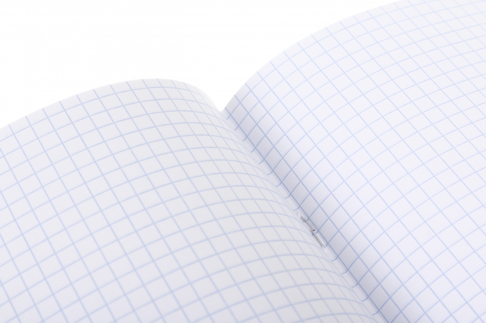 Тетрадь школьная Pixel_25 24 листа в клеточку Nota Bene