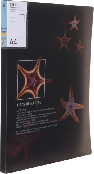 Папка Калейдоскоп А4 в ассортименте Optima