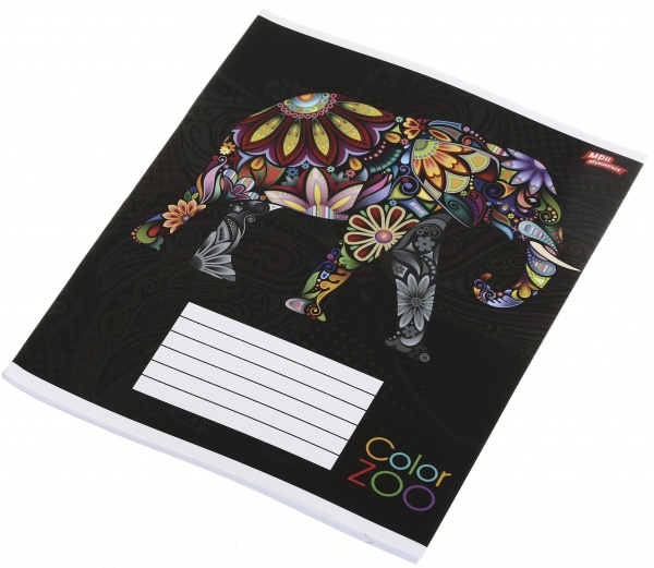 Тетрадь школьная 18 листов в клеточку в ассортименте Мечты сбываются