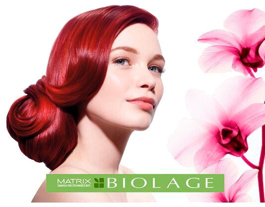 Шампунь Biolage для окрашенных волос 250 мл