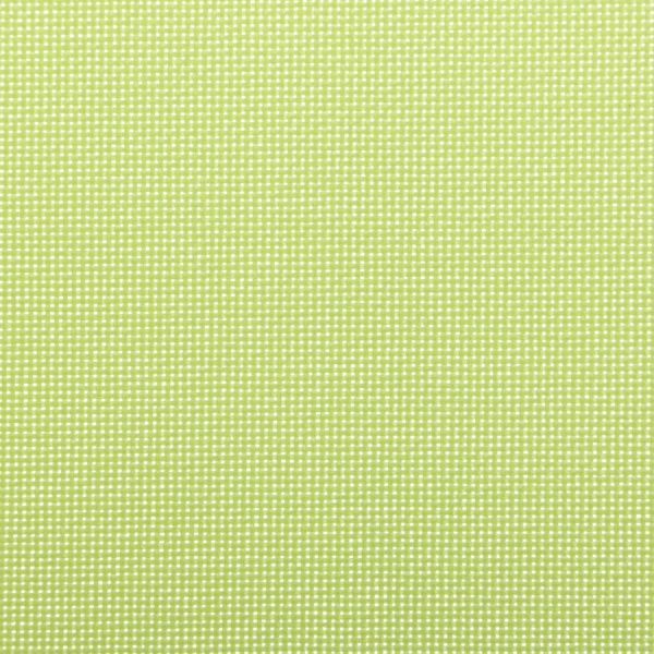 Ролета міні Modern Living Spectr 50x150 см зелена 
