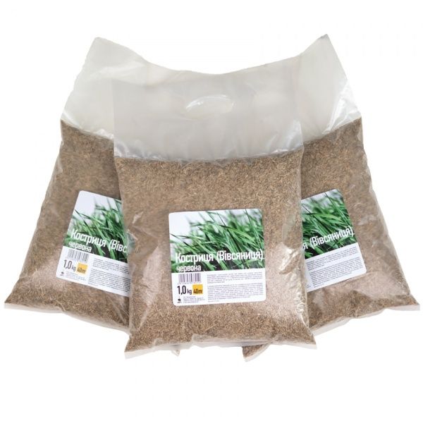 Насіння газонна трава Костриця червона 1 кг