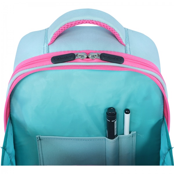 Ранец школьный Bagland Turtle 13466 (суб. 1350)